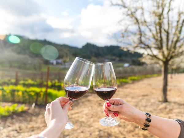 Toasting Glasses of Cabernet at Napa Valley Vineyard