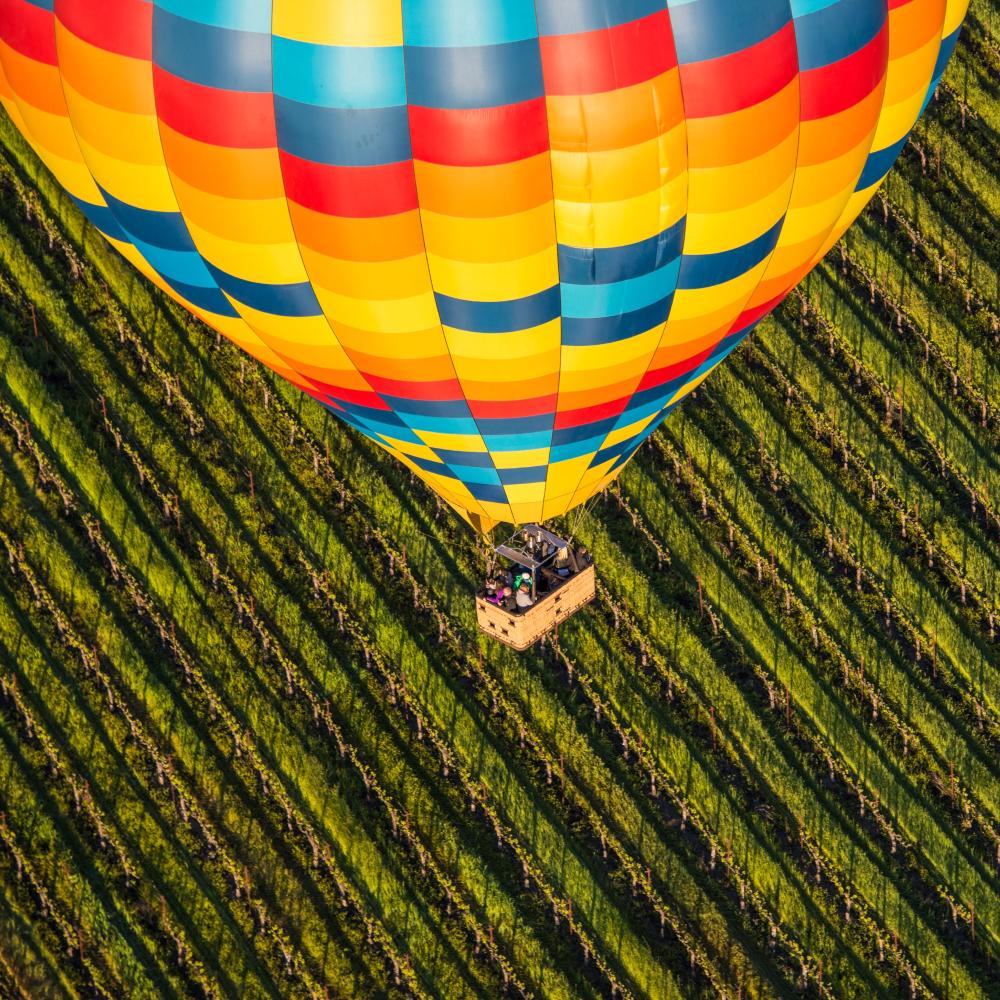 Hot Air Balloon and Napa Valley vineyard