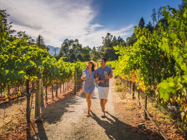 Strolling through Napa Valley vineyards