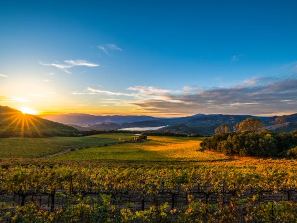 Napa Valley Sunrise