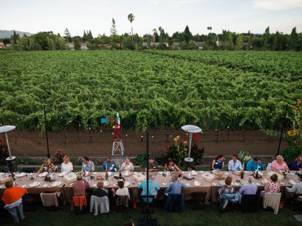 Summer Event in Napa Valley Vineyard