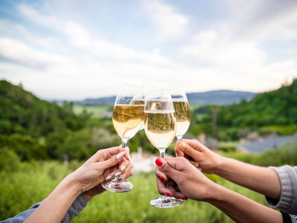 Group cheers with bubbles in Napa Valley