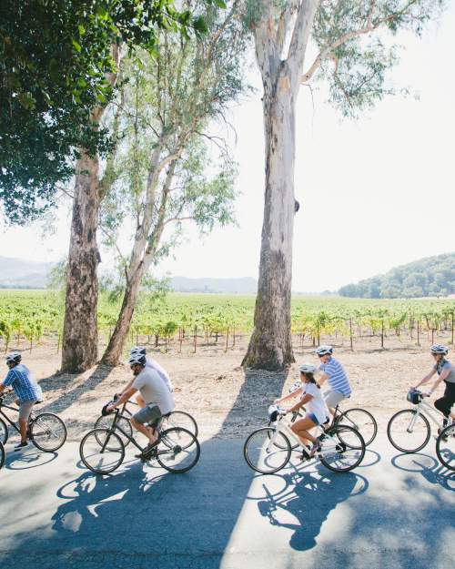 Napa Valley Bike Tours & Rentals