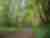 Hikers enjoy the tree-lined trails of Bothe State Park in Napa Valley