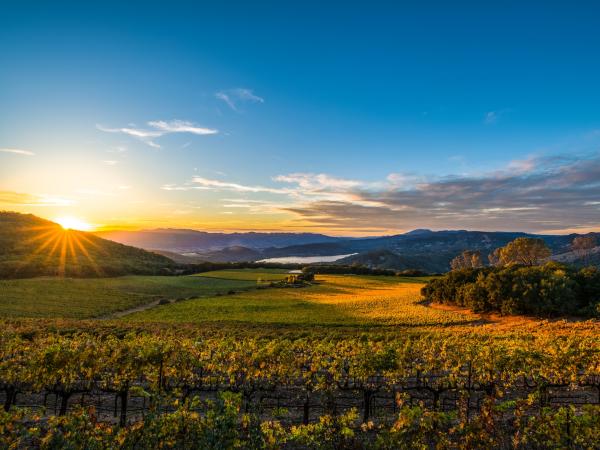 Napa Valley in Fall at Sunset