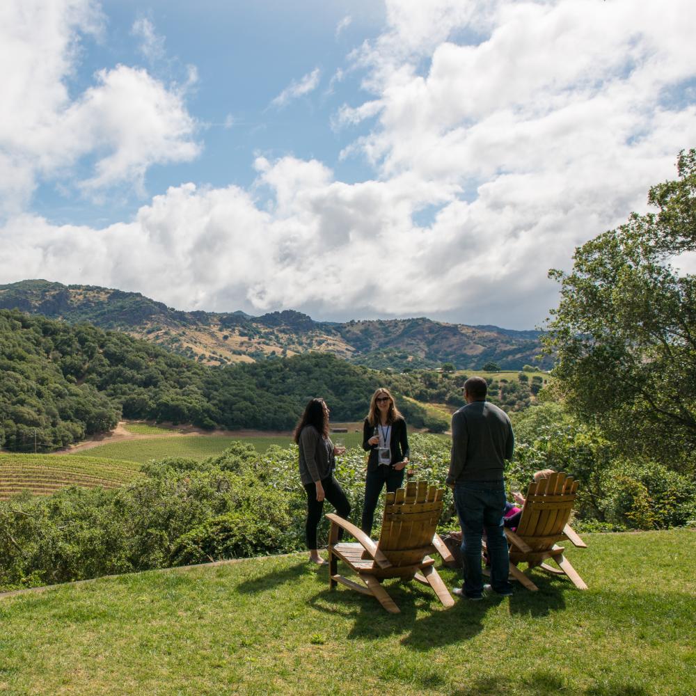 Group at outdoor Napa Valley winery tasting