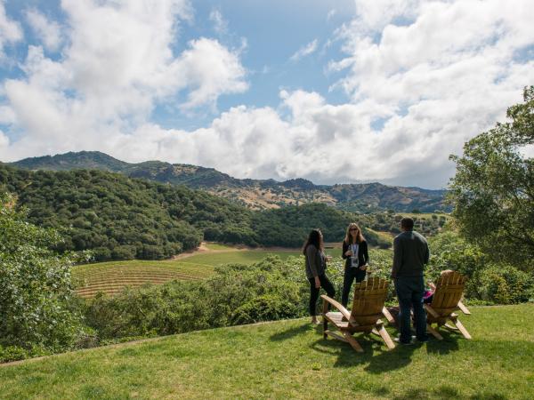 Group at outdoor Napa Valley winery tasting