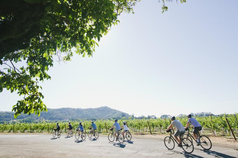 Napa Valley Bike Tours