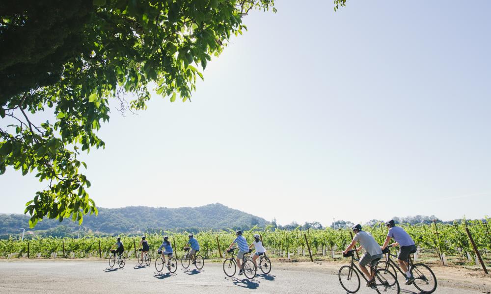 Napa Valley Bike Tours