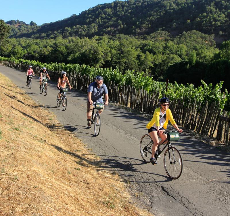 Napa Valley Bike Tours