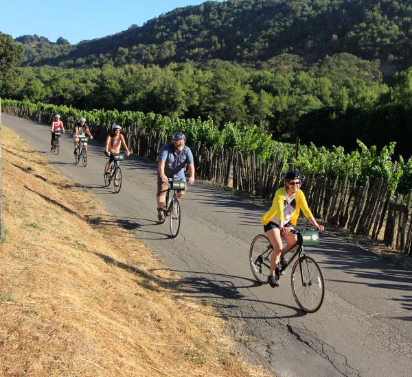 Napa Valley Bike Tours