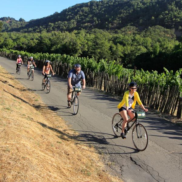 Napa Valley Bike Tours