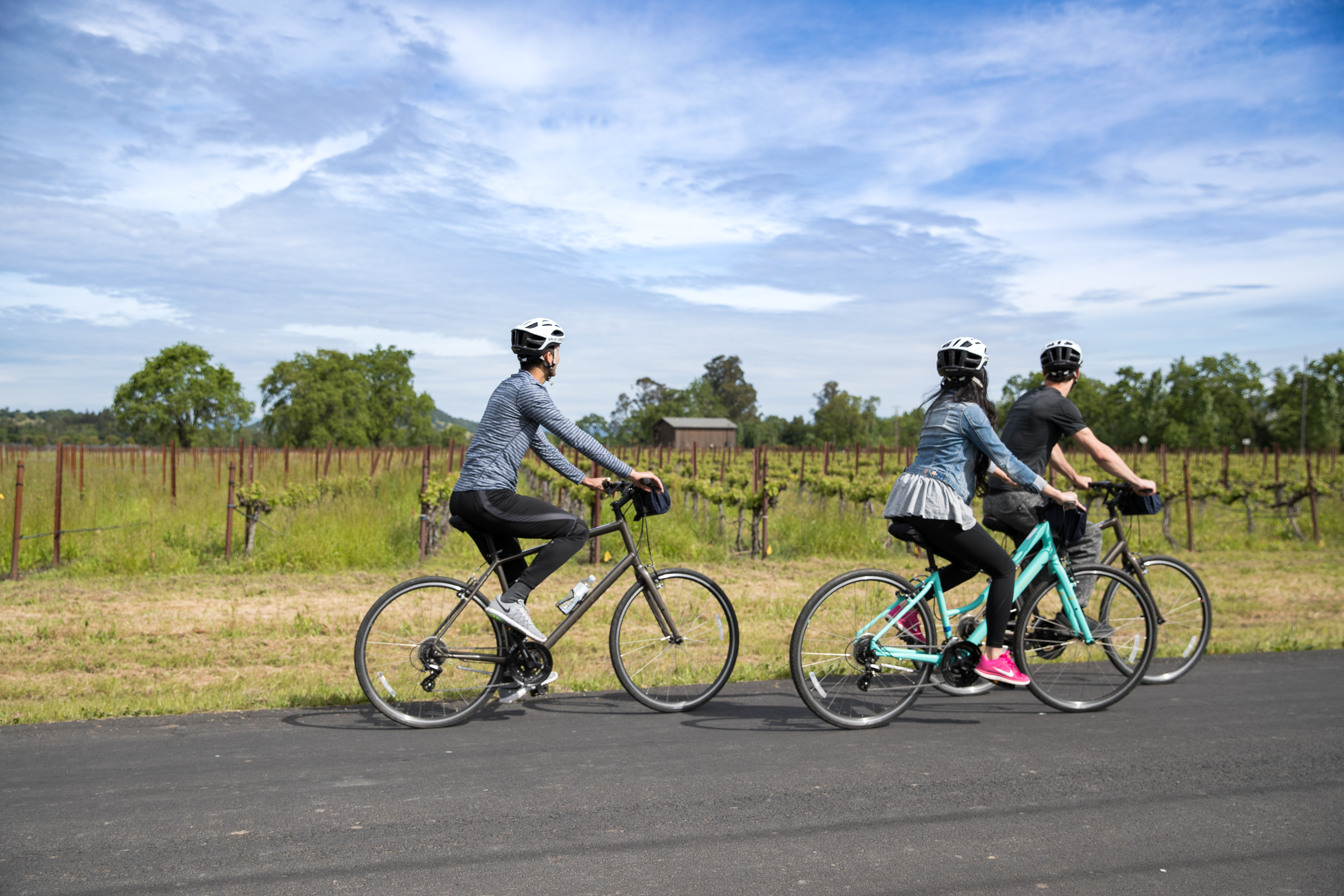 Biking the Napa Valley Vine Trail