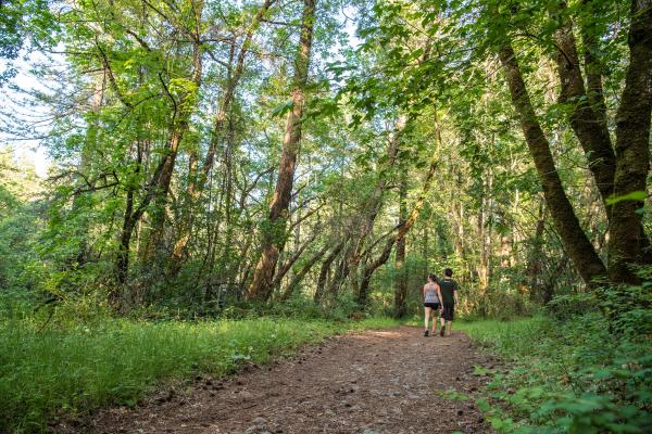 Bothe State Park