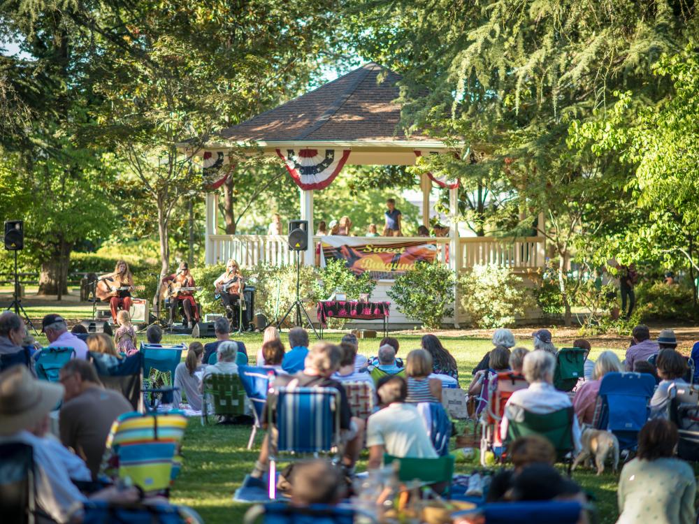 Summer Concerts in the Park