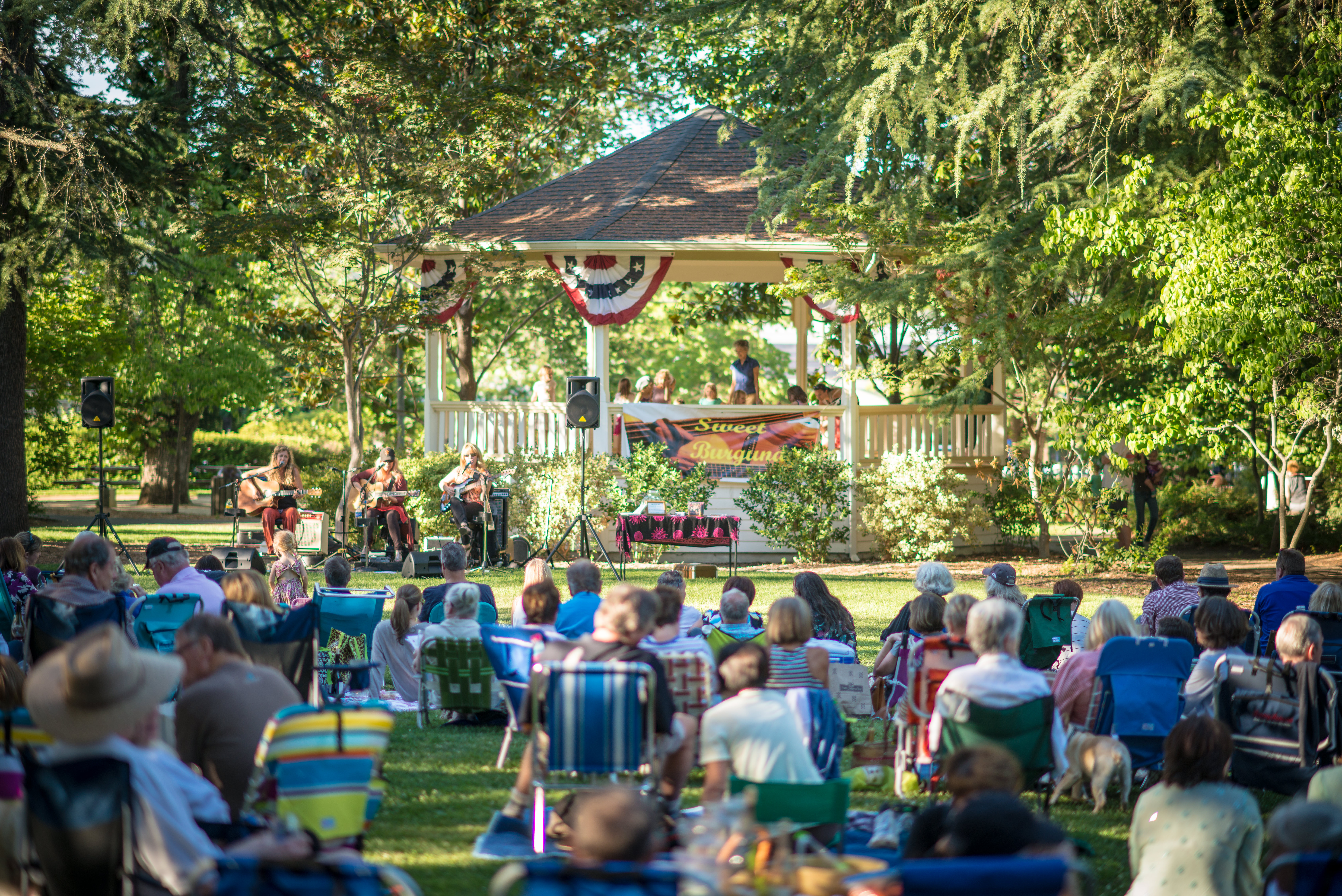 Summer Concerts in the Park