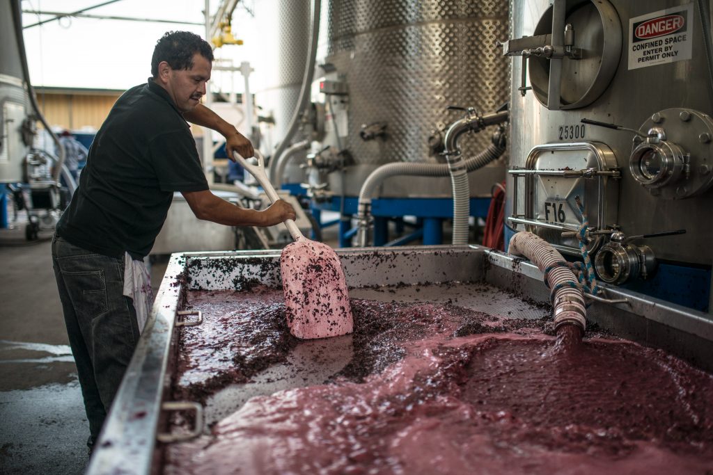 Fermentation - Napa Valley