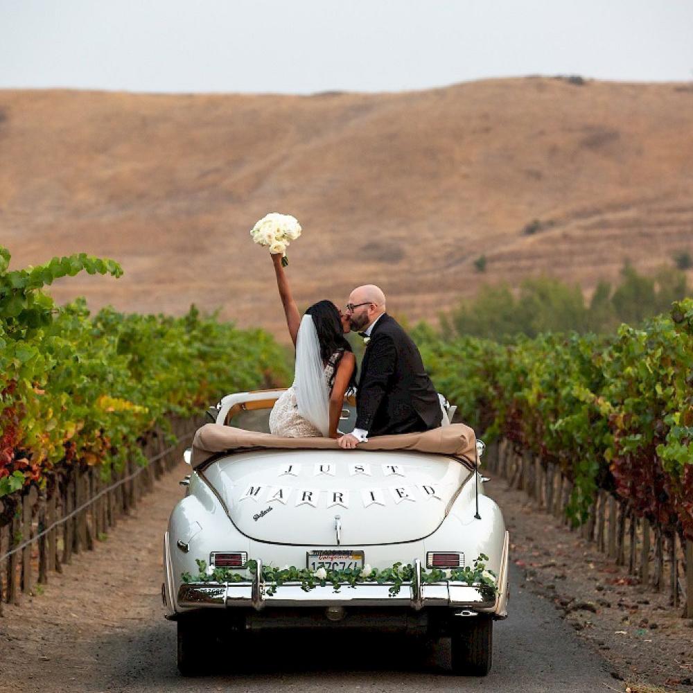 Just Married couple in Napa Valley vineyards