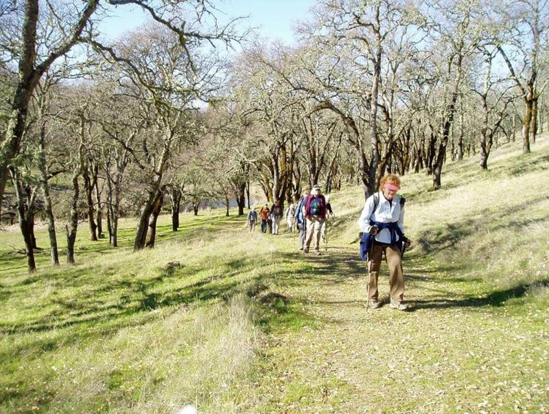 Land Trust of Napa County Hiking