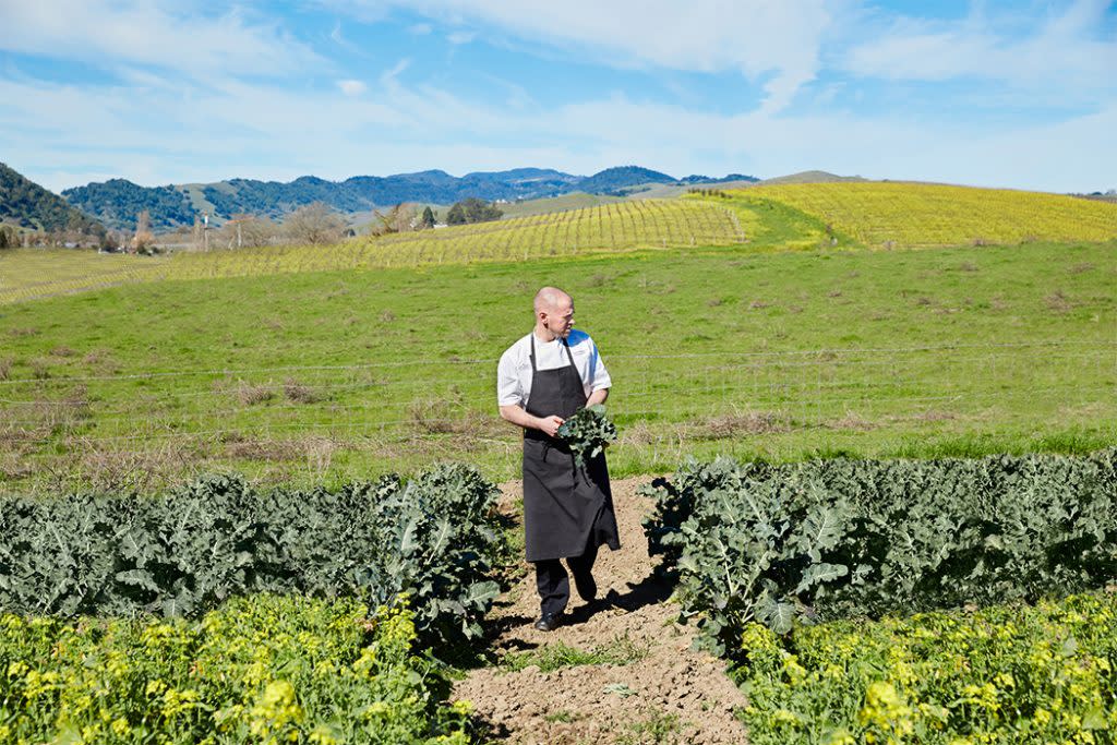 The Carneros Inn culinary Garden