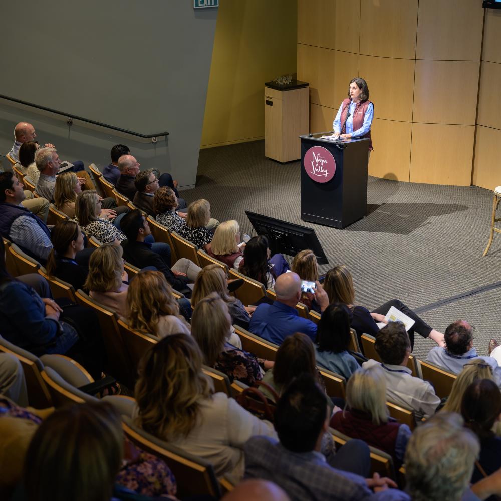 Linsey Gallagher speaking at a conference in an auditorium with attendees