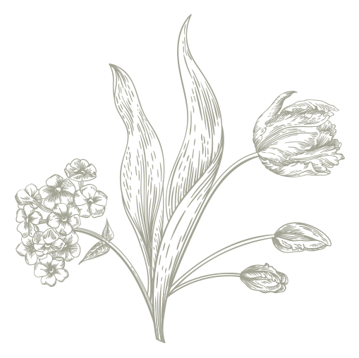 Flower illustration