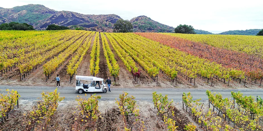 Napa Wine Safari Tuk Tuk