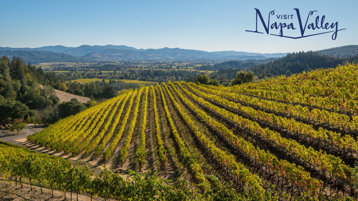 Napa Valley Zoom Background Fall Vineyards