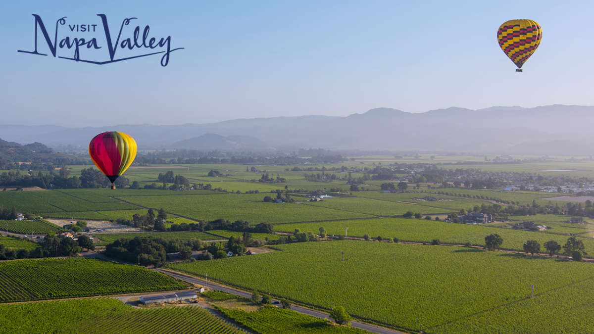 Napa Valley Zoom Background Summer Hot Air Balloons